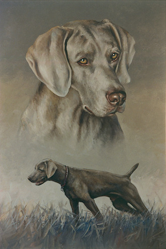 Weimaraner Hunting Dog