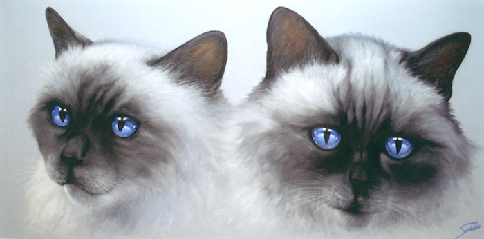 Mike & Shandar - The Artist's Cats