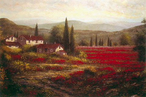 Red Poppies - A Landscape from Spain